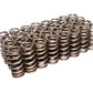 COMP Cams Valve Springs Ford 4.6L 2 Valve 26113-32