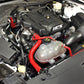 HPS Performance HPS Silicone Radiator + Heater Coolant Hose Kit Ford 2015-2020 Mustang Ecoboost 2.3L Turbo, 57-1452