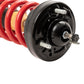 Belltech 15-20 Ford F-150 2WD/4WD Performance Adjustable Coilover Kit 1000spac