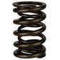 Ford Racing  Replacement Hydraulic Roller Valve Spring - Single (For M-6049-SCJA) M-6513-17341