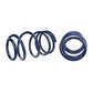 Ford Performance Parts Ford Racing 2007-2014 Mustang Shelby GT500 Springs