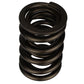 Ford Racing Replacement Valve Springs (TVS-1734) - Set Of 8 M-6513-17348