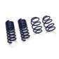 Ford Racing 2024 Mustang GT Coupe (w/Passive Suspension) Track Lowering Spring Kit M-5300-S65T