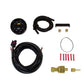 AEM Electronics Electronic Multi Purpose Gauge