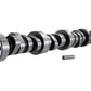 Ford Performance Parts Ford Racing Small Block V-8 Hydraulic Roller Tappet Camshafts