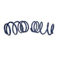 Ford Performance Parts Ford Racing 2007-2014 Mustang Shelby GT500 Springs