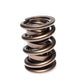 Comp Cams 1.625 CHR/SIL DBL SPRING