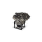 Ford Racing Gen 4 5.0L Coyote SC Crate Engine (No Cancel No Returns) M-6007-A50SCD