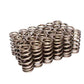 Comp Cams FORD 4.6L 2 VALVE SOHC VALVE SPRINGS