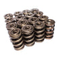 COMP Cams Valve Spring 2.300in Drag Race 26580-16