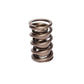 Comp Cams DUAL SPRING ASSEMBLY