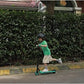 Segway Ninebot eKickScooter ZING A6 Electric Kick Scooter for Kids, Teens, Boys and Girls, Lightweight and Foldable, Green