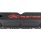 Ford Engine Dress up Kit Black w/Ford Racing Logo FRD302-500