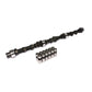 Comp Cams F66 252H CAM & LIFTER KIT