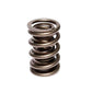 Comp Cams 1.539" O.D. DUAL VALVE SPRING W/DAMPER