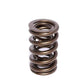 COMP Cams Valve Spring 1.400in 2 Spring 988-1