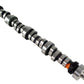 Comp Cams Magnum, 308R  Ultimate in Pro Street, Radical Idle
