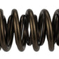 Ford Racing  Replacement Hydraulic Roller Valve Spring - Single (For M-6049-SCJA) M-6513-17341