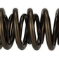 Ford Racing  Replacement Hydraulic Roller Valve Spring - Single (For M-6049-SCJA) M-6513-17341