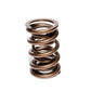 Comp Cams 1.550 INTER-FIT VALVE SPRING