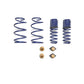 Ford Performance Parts Ford Racing 2012-2013 BOSS 302 Lowering Springs