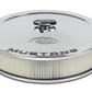 Ford 13in Dia Air Cleaner Kit Chrome FRD302-361