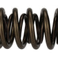 Ford Racing  Replacement Hydraulic Roller Valve Spring - Single (For M-6049-SCJA) M-6513-17341