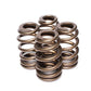 Comp Cams 1.589" Beehive Valve Springs