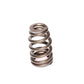 Comp Cams 1.445" BEEHIVE SPRING