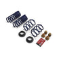 Ford Racing 2024 Mustang GT Coupe (w/Passive Suspension) Track Lowering Spring Kit M-5300-S65T