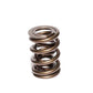 Comp Cams 1.650 2 Spring Assembly
