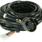 AEM Replacement Sensor Harness for Digital Wideband Gauge (30-4110) 30-3441