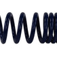Ford Performance Parts 2015-2017 Mustang GT350 Lowering Springs