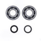 Athena 05-08 Suzuki RM 250 Main Bearing & Seal Kit P400510444049