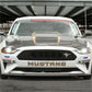 Ford Racing 2018 Ford Mustang Cobra Jet Carbon Fiber Hood M-16612-AECJ