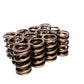 COMP Cams Valve Spring 1.550in Inter-Fit 955-12