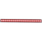 Anzo Universal 24in Slimline LED Light Bar (Red)