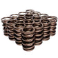 Comp Cams Dual Valve Springs: 1.460" O.D. Outer, .697" I.D. Inner