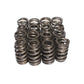 Comp Cams Beehive Valve Springs, Performance GM LS1
