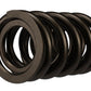 Ford Racing Replacement Valve Springs (TVS-1734) - Set Of 8 M-6513-17348