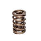 Comp Cams 1.470 2 SPRING ASSEMBLY