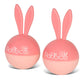 Rabbico Air Angel Snow Vent Clip-On Air Freshener 2PC Set