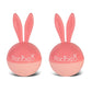 Rabbico Air Angel Snow Vent Clip-On Air Freshener 2PC Set