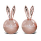Rabbico Air Shine Angel Snow Rabbit Ear Vent Clip Air Freshener 2PC