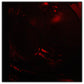 SPYDER Xtune Toyota Tundra Double Cab 04-06 OEM Style Tail Lights Red Smoked ALT-JH-TTU04-OE-RSM 9033384