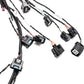 PREORDER Honda K-Series Plug & Play Street-Spec Engine Wiring Harness – Version 3