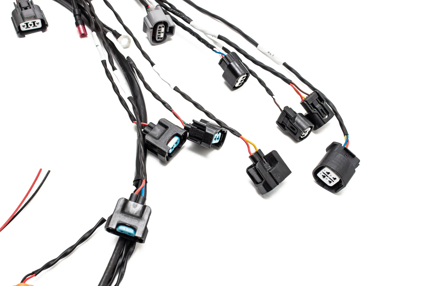 PREORDER Honda K-Series Plug & Play Street-Spec Engine Wiring Harness – Version 3
