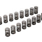 Tomei Valve Springs Set