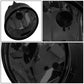 2005-2015 Nissan Titan / 2005-2007 Armada Smoke Fog Lights