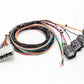 B / D-Series Chassis Subharness – 97-01 Honda Prelude BB6 OBD2B Swap | VTI